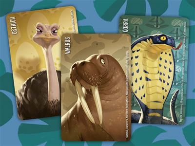 Similo Wild Animals