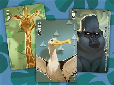 Similo Wild Animals