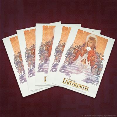 Sleeves Labyrinth