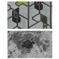 BattleTech BattleMat FieldTech Lunar/City