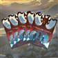 Sleeves Dragon Prince
